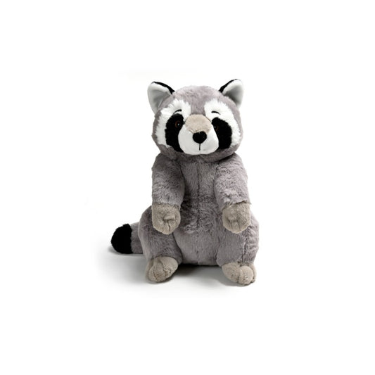 Raccoon