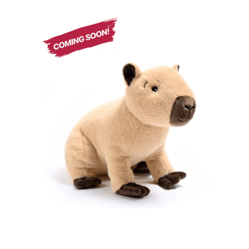 Capybara