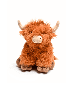 Highland Cow