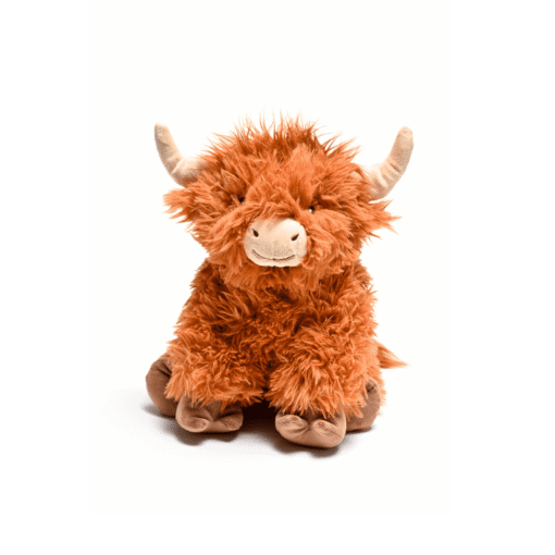 Highland Cow