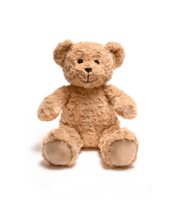 Classic Brown Teddy