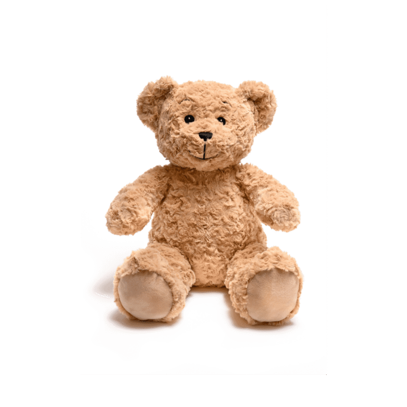 Classic Brown Teddy